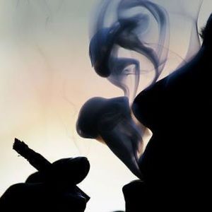 Meet your Posher, Julio